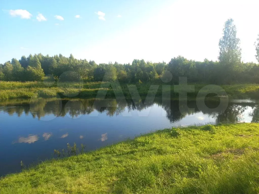 Дом 38,5 м на участке 16,3 сот. - Фото 1