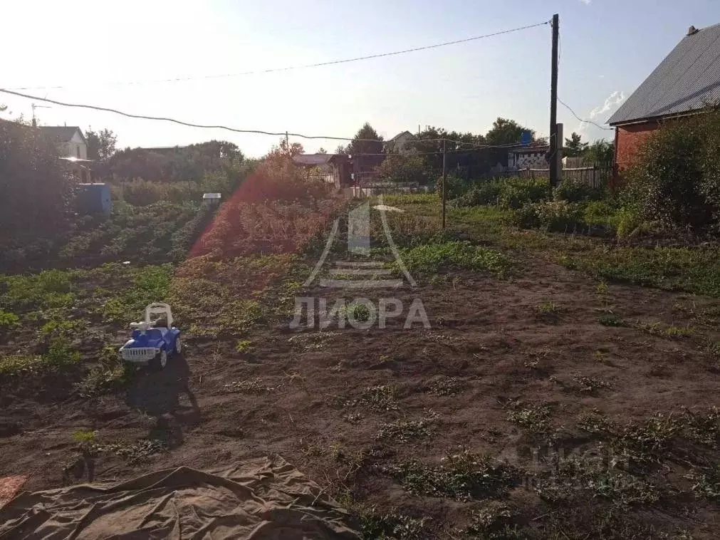 Дом в Омская область, Омск СОСН Сибирский Садовод-9 тер.,  (20 м) - Фото 1