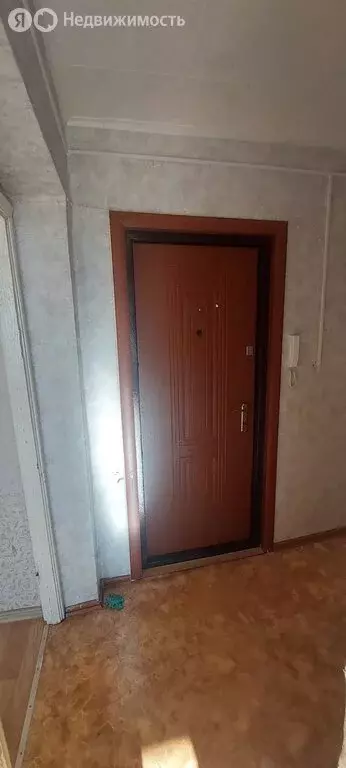 1-комнатная квартира: Заринск, проспект Строителей, 8/1 (30.2 м) - Фото 1
