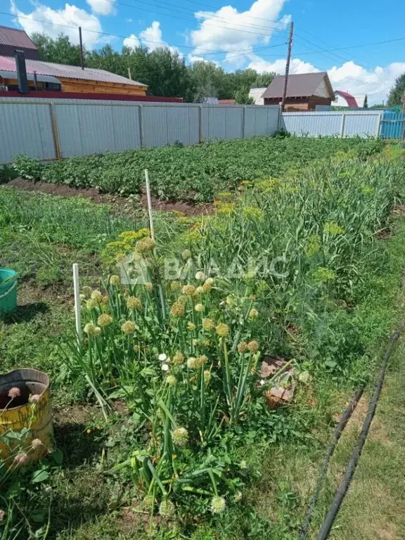 Дом в Новосибирская область, Искитимский район, Чернореченский ... - Фото 0