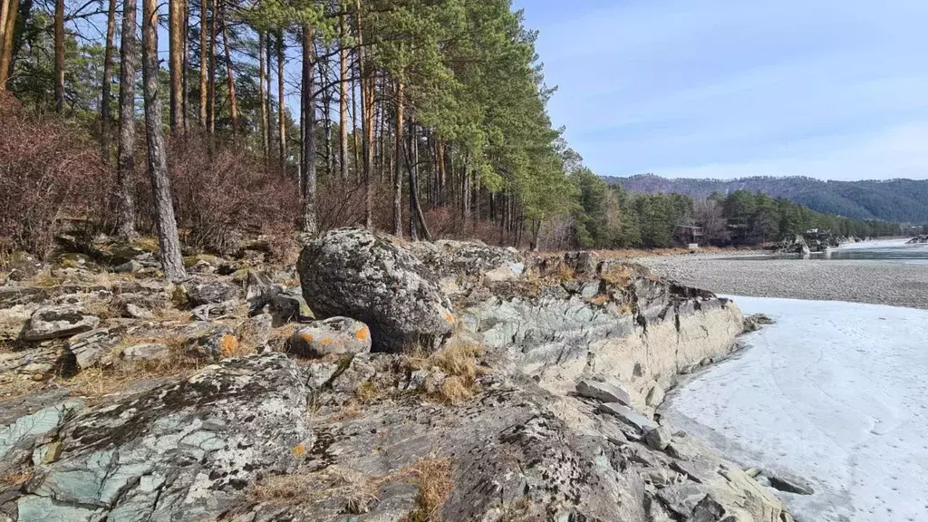 Участок в Алтай, Чемальский район, Элекмонарское с/пос  (54.4 сот.) - Фото 0