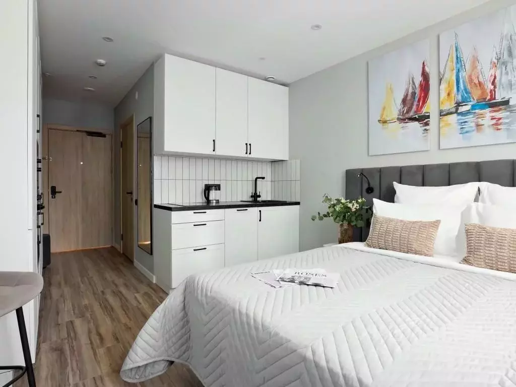 1-к кв. Санкт-Петербург просп. Энергетиков, 2к2 (25.0 м) - Фото 2