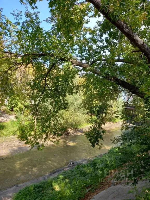 2-к кв. Алтайский край, Барнаул Краевая ул., 254 (43.0 м) - Фото 1