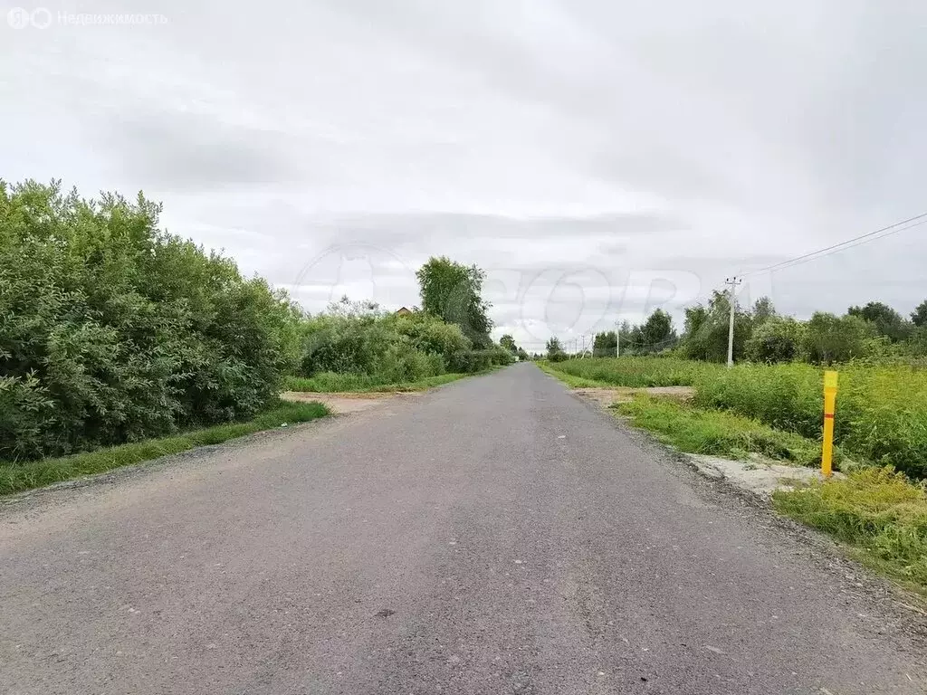 Участок в Тюмень, садовое товарищество Полянка (9.6 м) - Фото 1