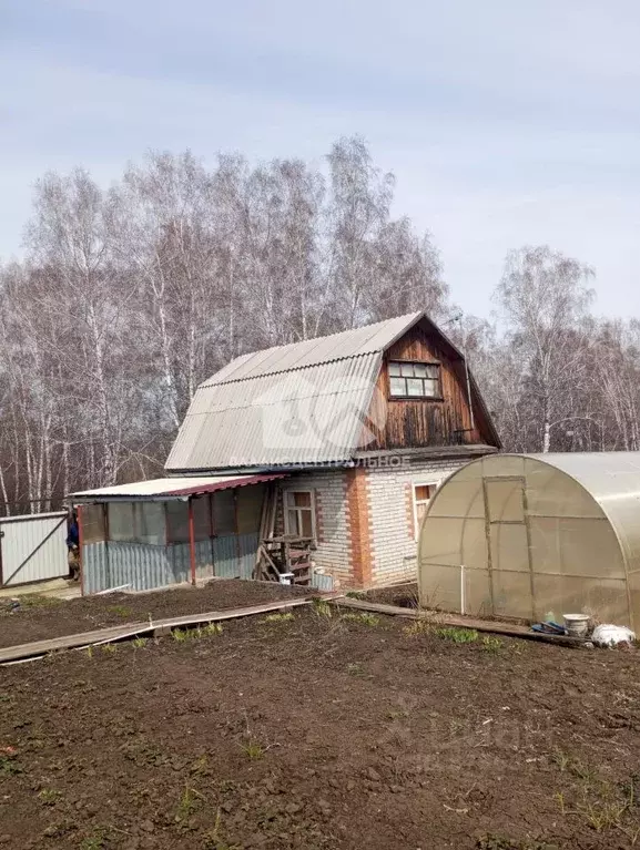 Дом в Новосибирская область, Бердск Луговое-1 СНТ,  (40 м) - Фото 0