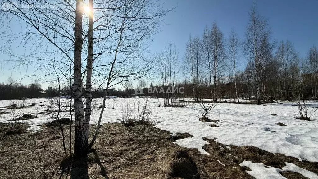 Участок в Московская область, городской округ Электросталь, деревня ... - Фото 1