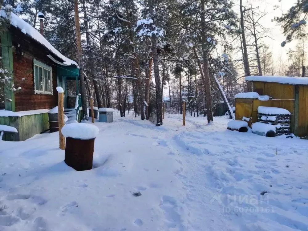 Участок в Саха (Якутия), с. Пригородный  (8.3 сот.) - Фото 0