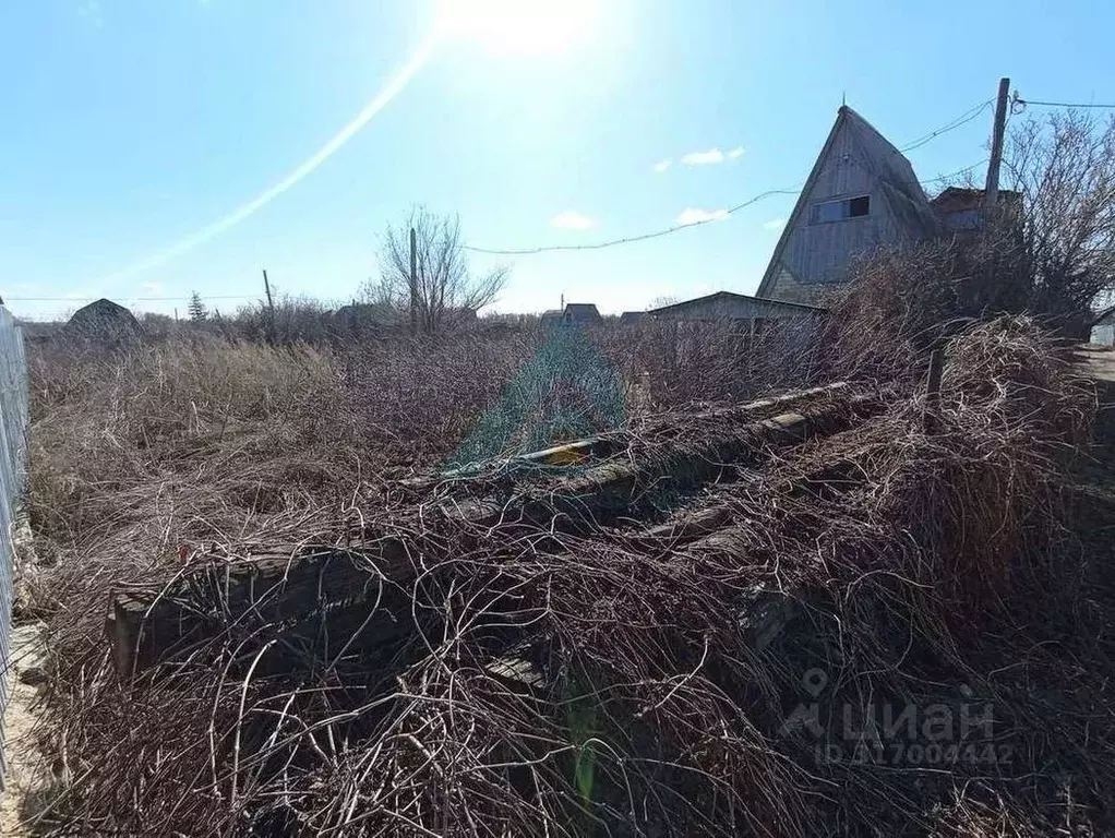 Участок в Оренбургская область, Оренбургский район, Нежинский ... - Фото 0