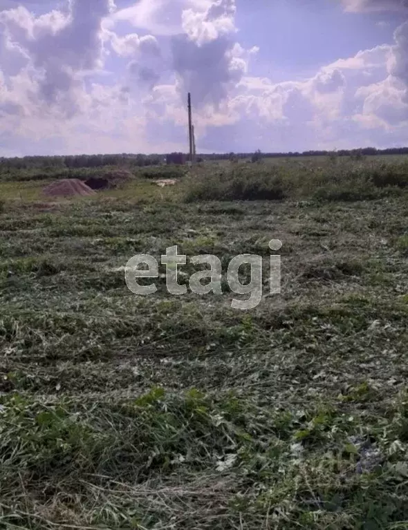 Участок в Вологодская область, пос. Васильевское  (15.0 сот.) - Фото 2
