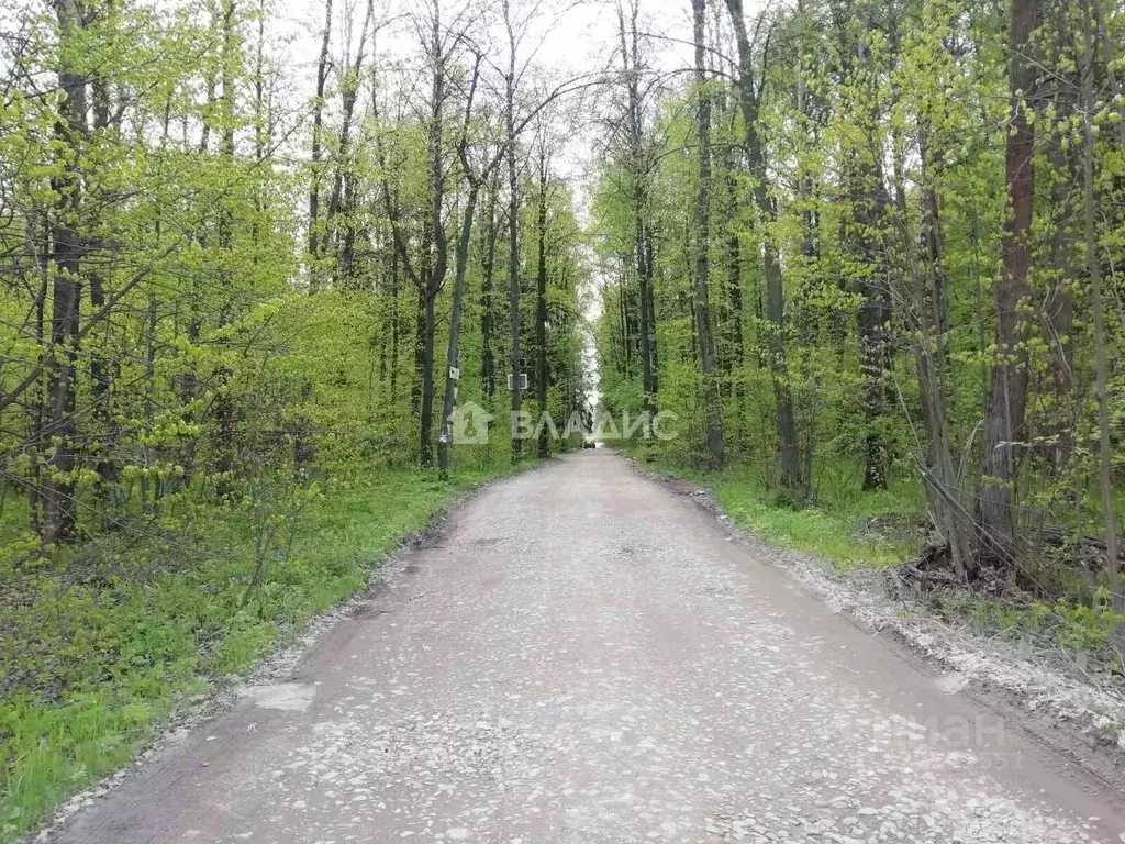 Участок в Владимирская область, Владимир Нива СНТ, 497 (5.0 сот.) - Фото 1