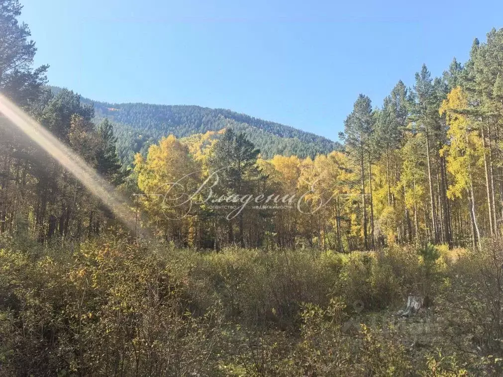 Участок в Иркутская область, Иркутский муниципальный округ, пос. ... - Фото 1