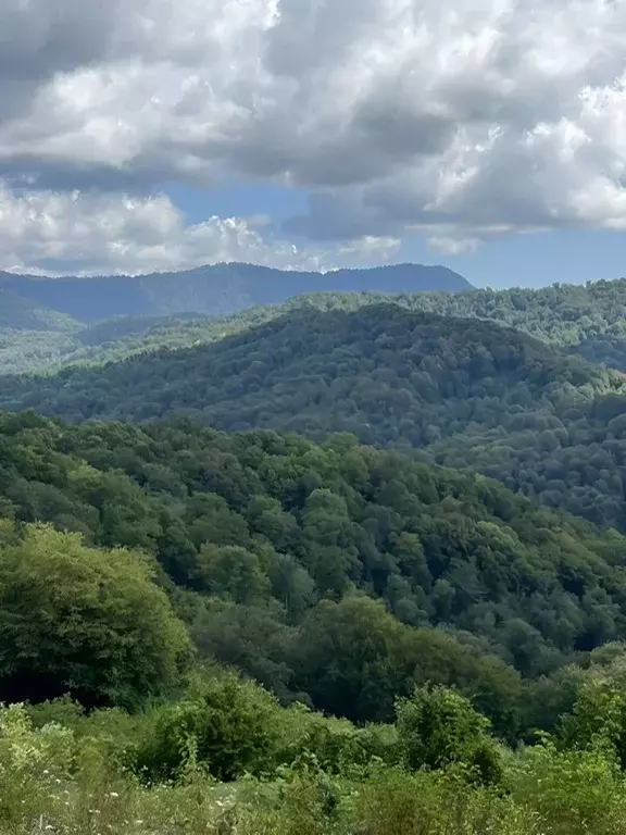 Участок в Краснодарский край, Сочи городской округ, с. Красная Воля  ... - Фото 1