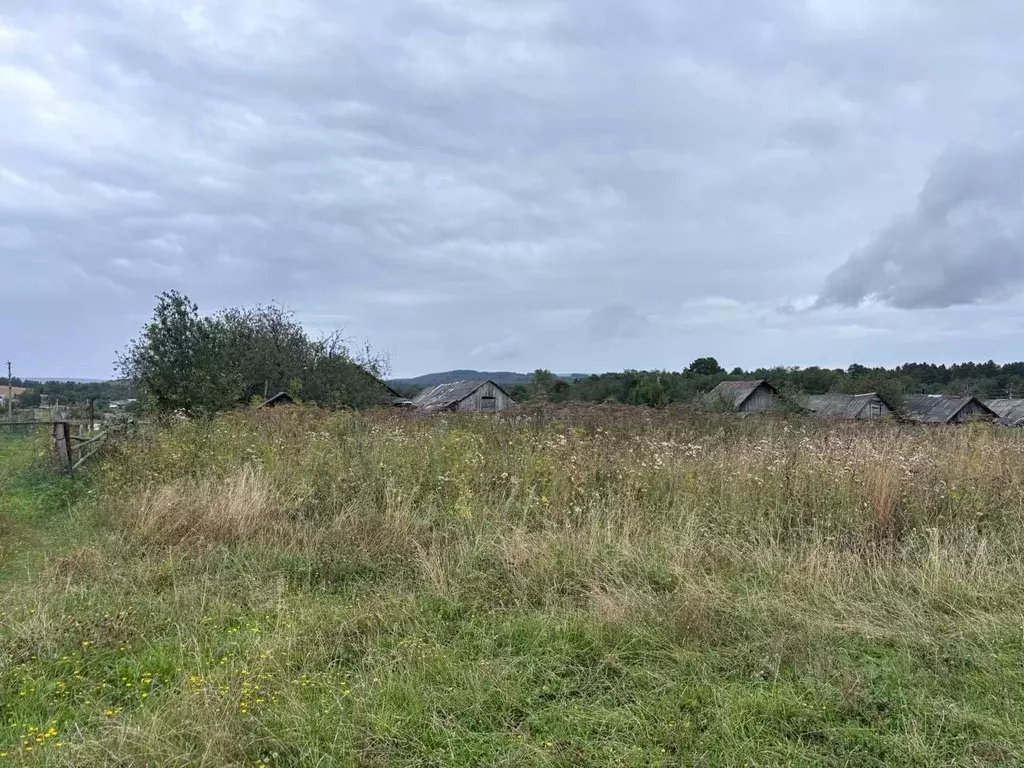 Участок в Свердловская область, Нижнесергинский район, Кленовское ... - Фото 1