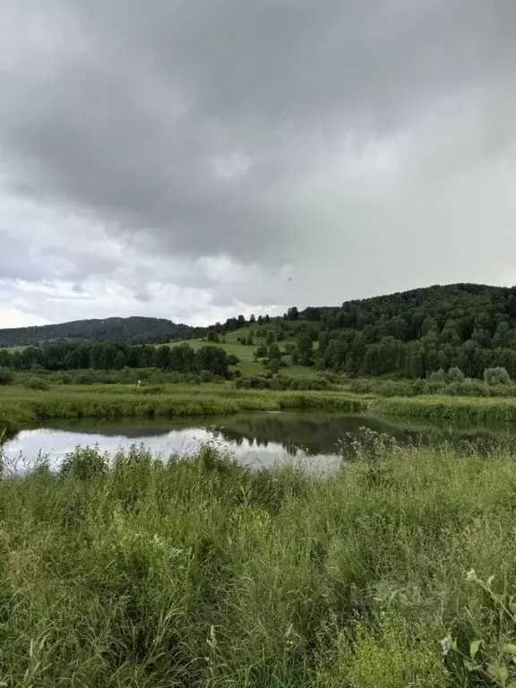 Участок в Алтайский край, Солонешенский район, с. Искра  (5300.0 сот.) - Фото 1