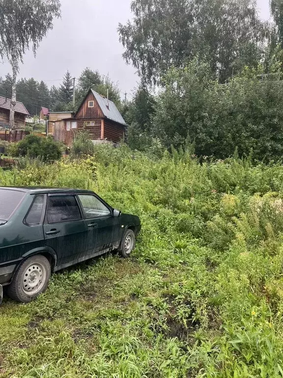 Участок в Новосибирская область, Тогучинский район, Биолог СТ  (4.0 ... - Фото 0