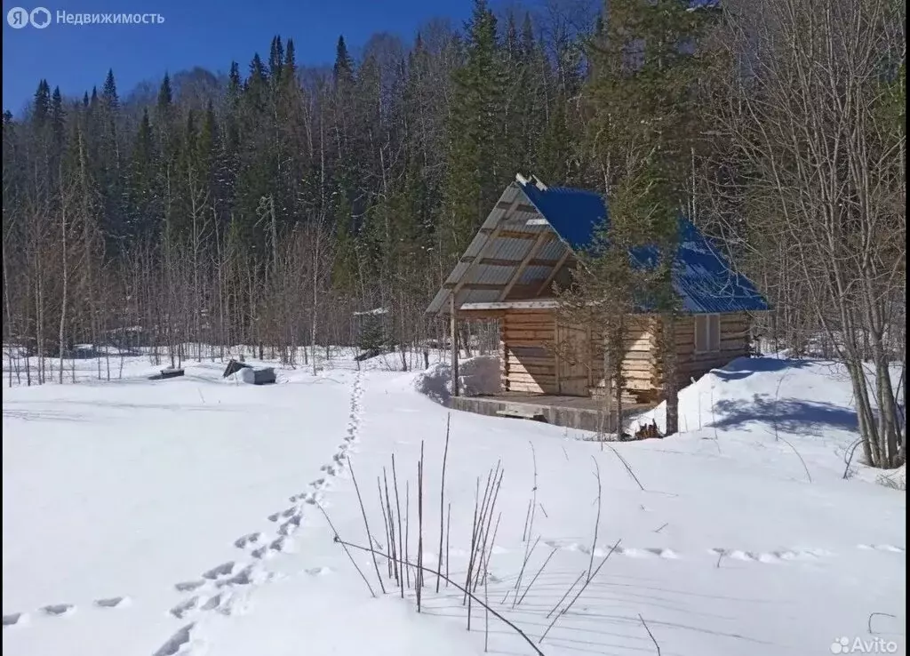 Дом в Артыбаш, Пихтовая улица (14 м) - Фото 1