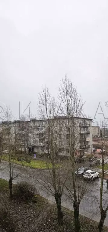 2-к кв. Ленинградская область, Подпорожье Свирская ул., 31 (40.0 м) - Фото 1