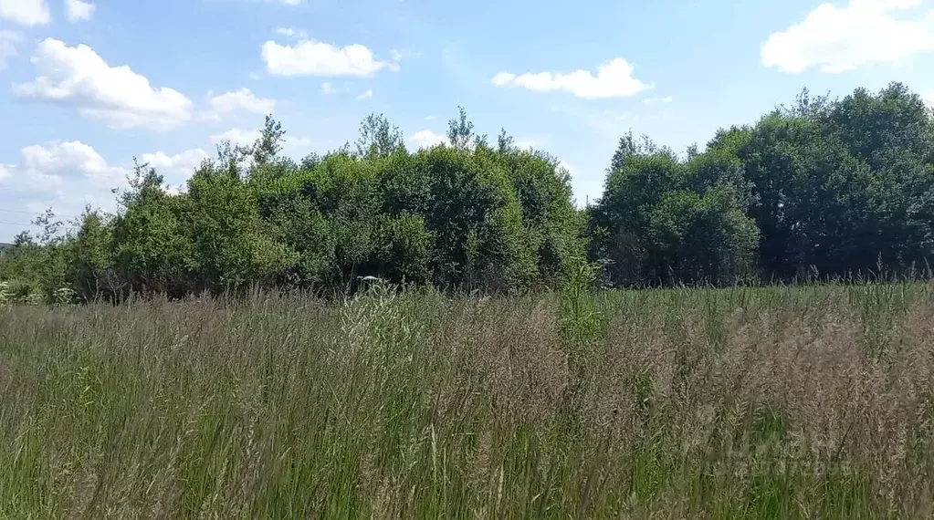 Участок в Московская область, Дмитровский муниципальный округ, пос. ... - Фото 0