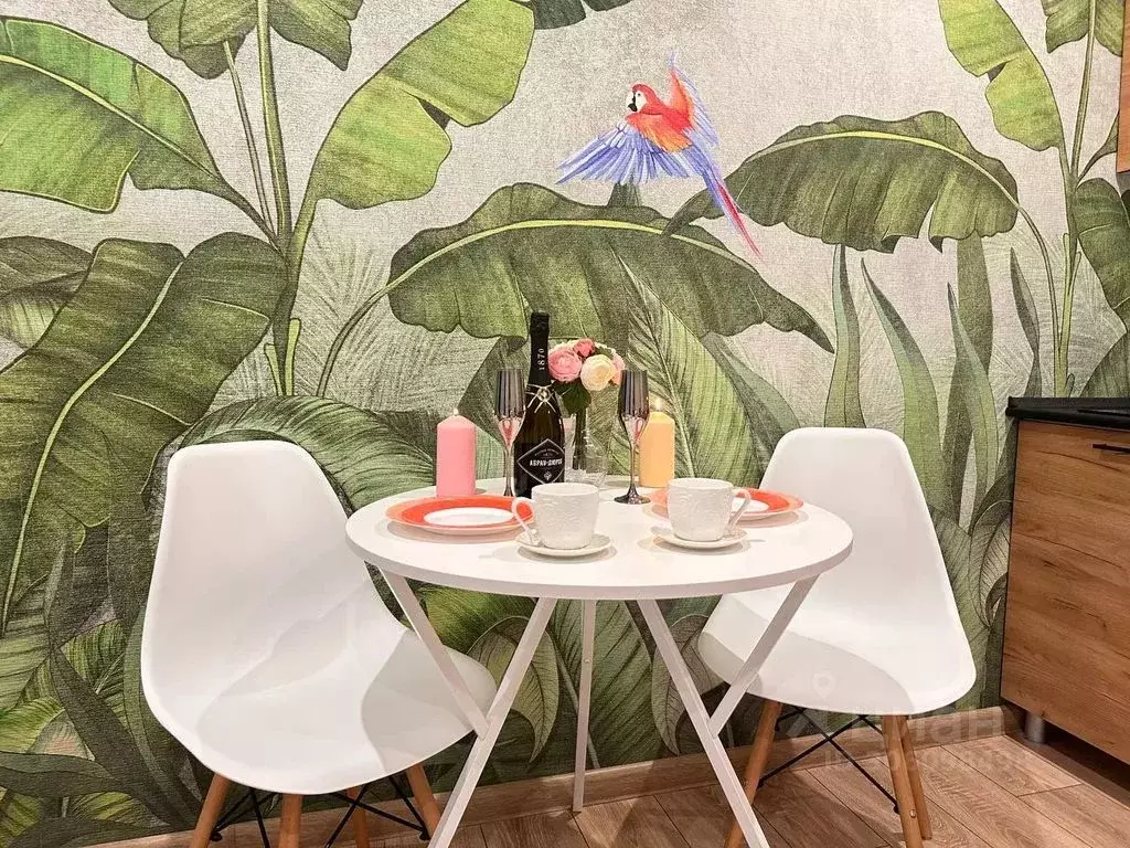 Студия Удмуртия, Ижевск ул. Телегина, 101 (24.0 м) - Фото 2