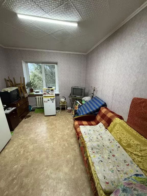 1-к кв. Саратовская область, Красноармейск ул. Калинина, 8Г (13.0 м) - Фото 2