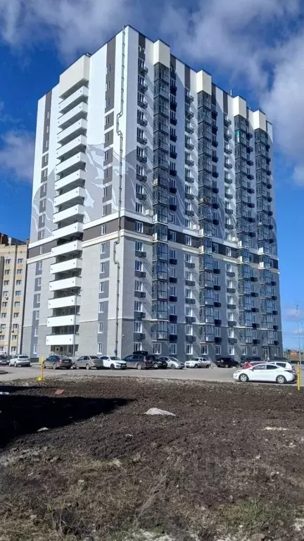 Студия Тамбовская область, Тамбов ул. Агапкина, 2К (30.3 м) - Фото 1