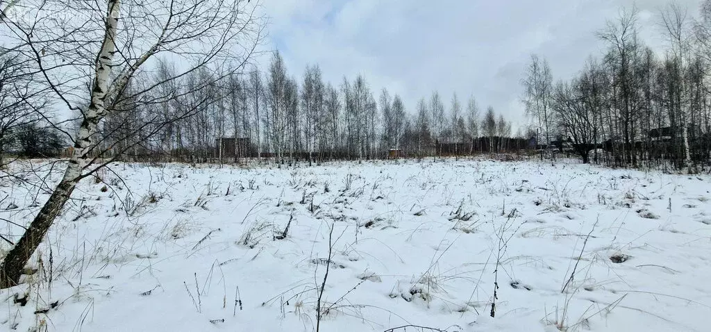 Участок в Нижегородская область, Кстовский муниципальный округ, ... - Фото 0