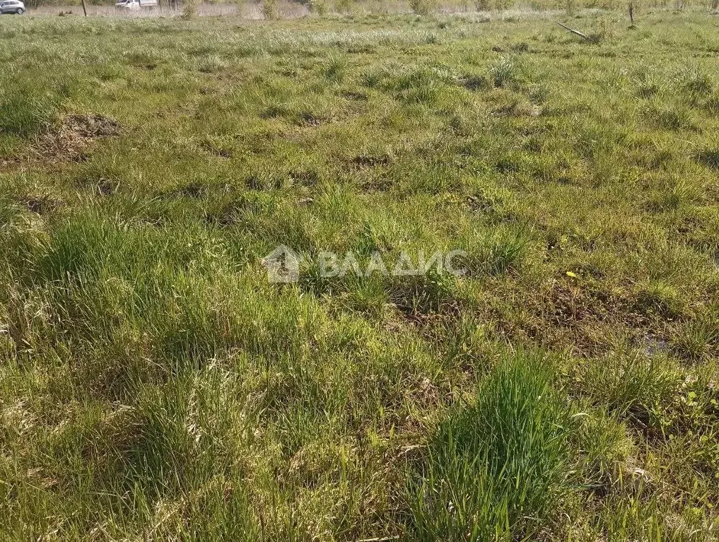 Участок в Калининградская область, Багратионовск ул. Трактористов ... - Фото 1