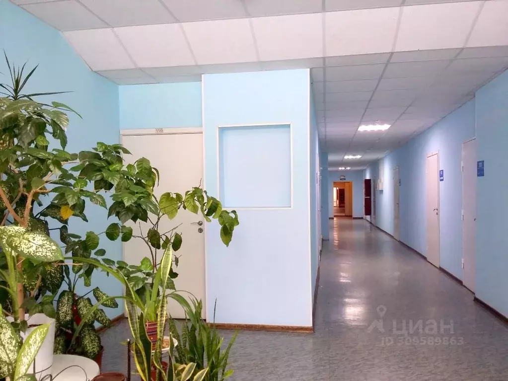 Офис в Санкт-Петербург Афонская ул., 2 (51 м) - Фото 2