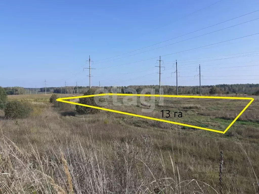 Участок в Брянская область, Выгоничский район, Хмелевское с/пос, пос. ... - Фото 1