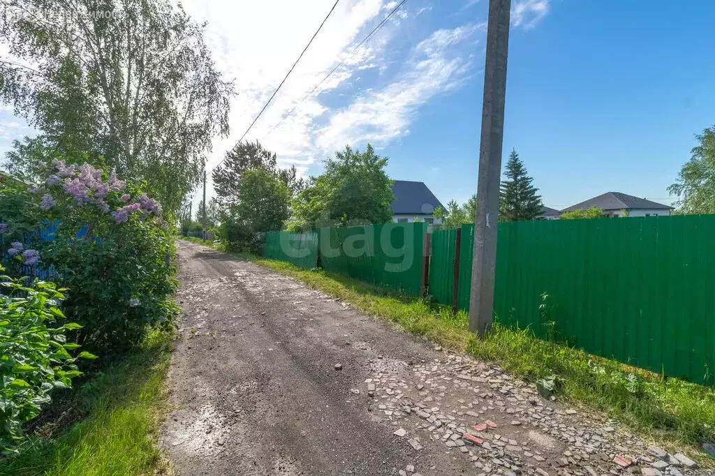 Участок в Тюмень, СНТ Царево, Соловьиная улица (7 м) - Фото 2