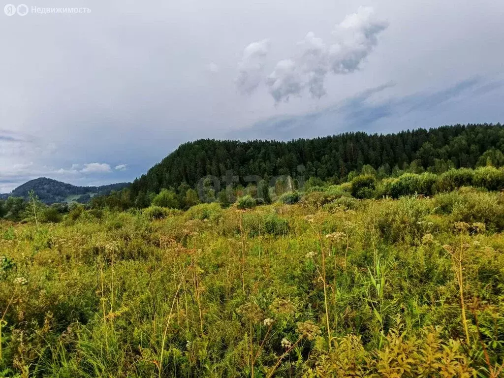 Участок в Майминский район, село Кызыл-Озек, Изумрудная улица (10 м) - Фото 1