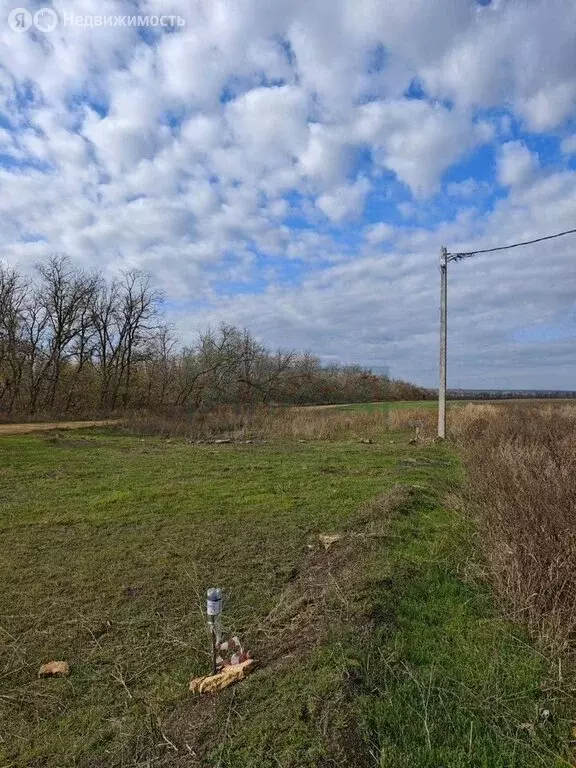 Участок в Красный, Торговая улица, 15 (4 м) - Фото 1