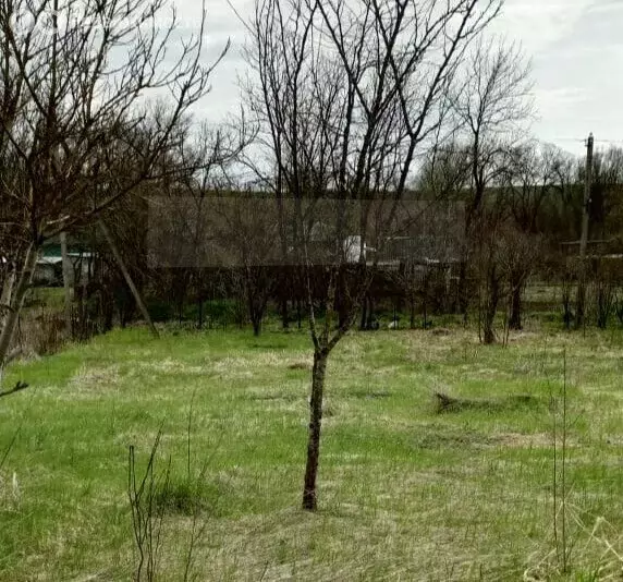 Участок в станица Кужорская, Родниковый переулок, 7 (5.5 м) - Фото 1