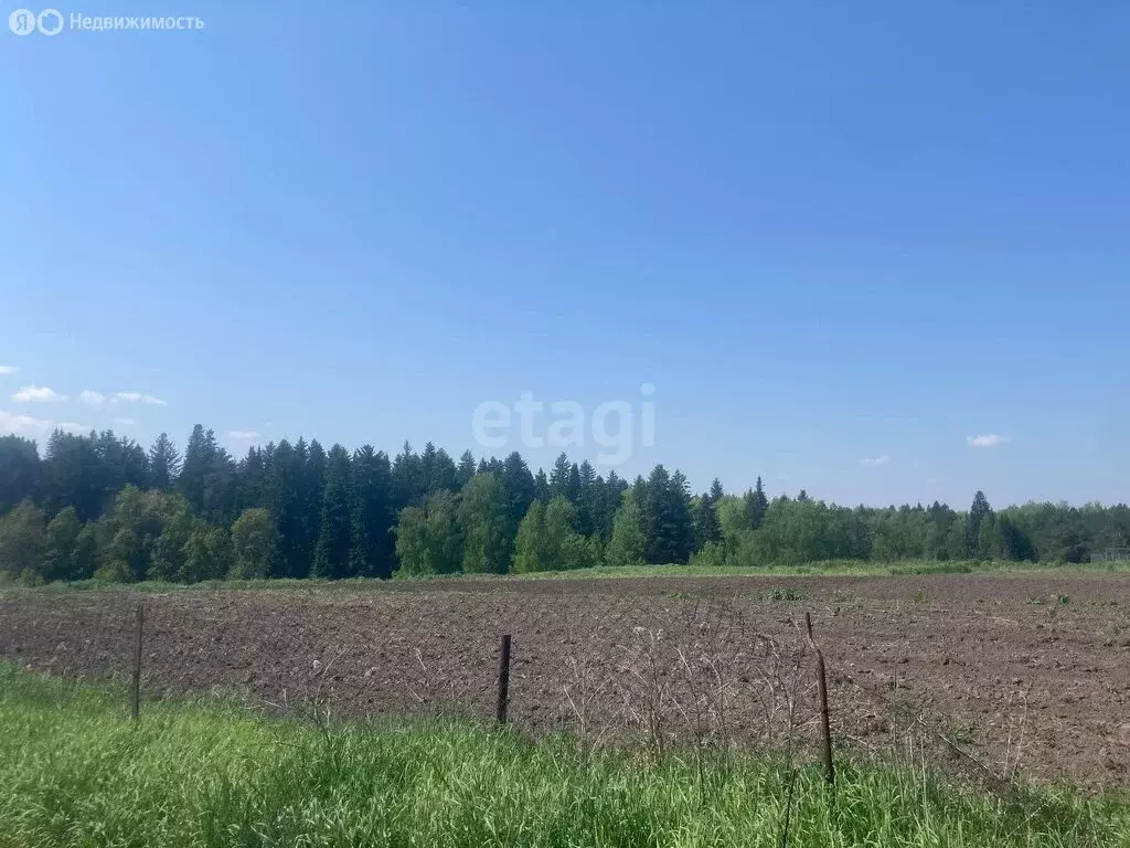 Участок в Зоркальцевское сельское поселение, деревня Берёзкино, улица ... - Фото 0