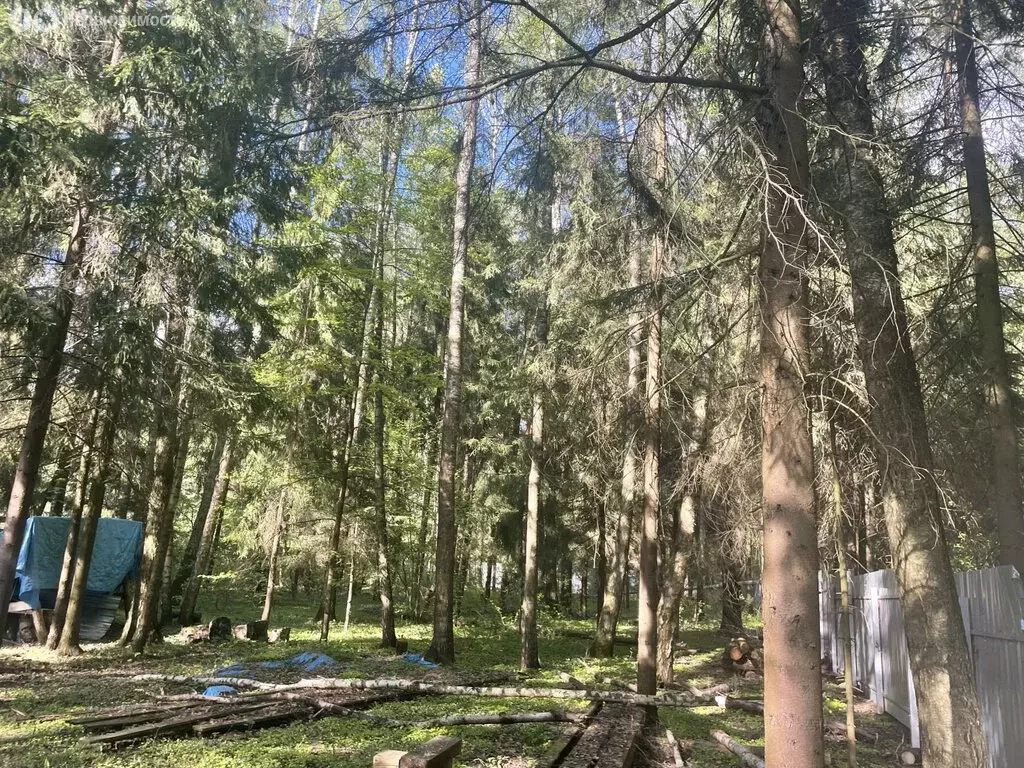 Участок в Раменский городской округ, территориальное управление ... - Фото 1