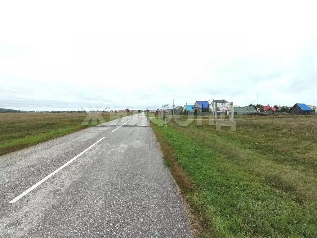 Участок в Новосибирская область, Колыванский район, д. Чаус ул. ... - Фото 1