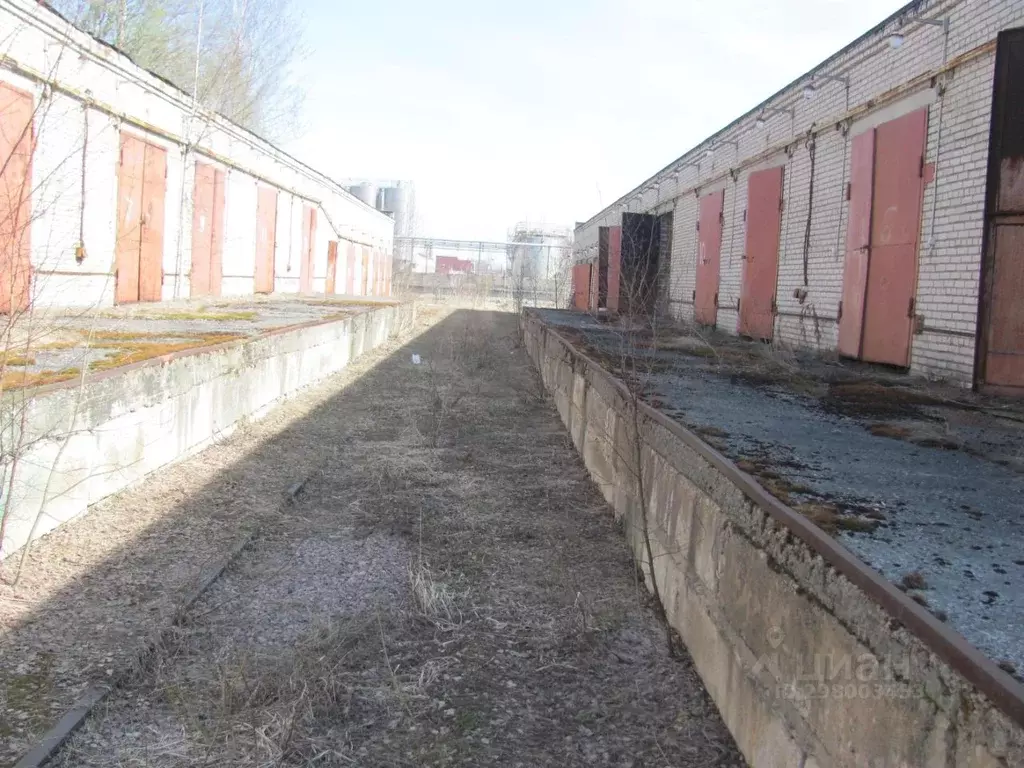 Склад в Ленинградская область, Кириши ш. Энтузиастов, 32 (3619 м) - Фото 2