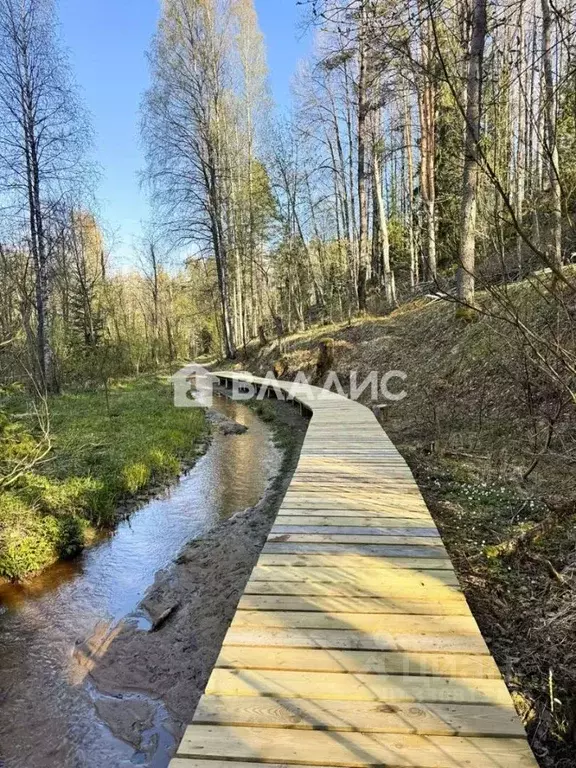 Участок в Ленинградская область, Всеволожский район, Куйвозовское ... - Фото 1