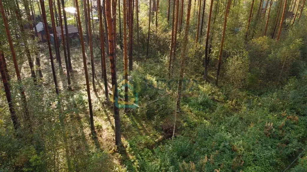 Участок в Ленинградская область, Гатчинский район, Вырица городской ... - Фото 0