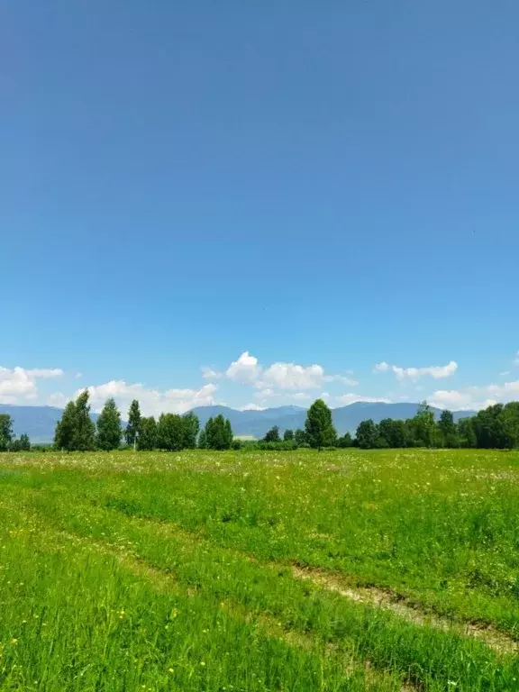 Участок в Алтай, Усть-Коксинский район, с. Горбуново  (100.03 сот.) - Фото 1