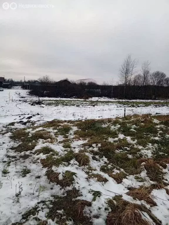 Участок в Ярославский муниципальный округ (10 м) - Фото 1