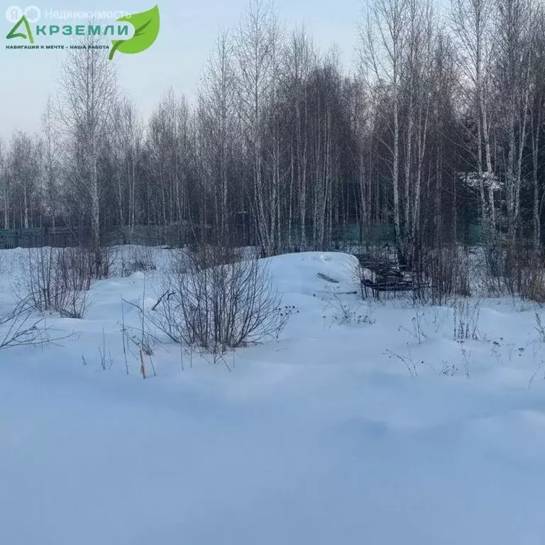 Участок в Сосновский округ, Краснопольское сельское поселение, деревня ... - Фото 1