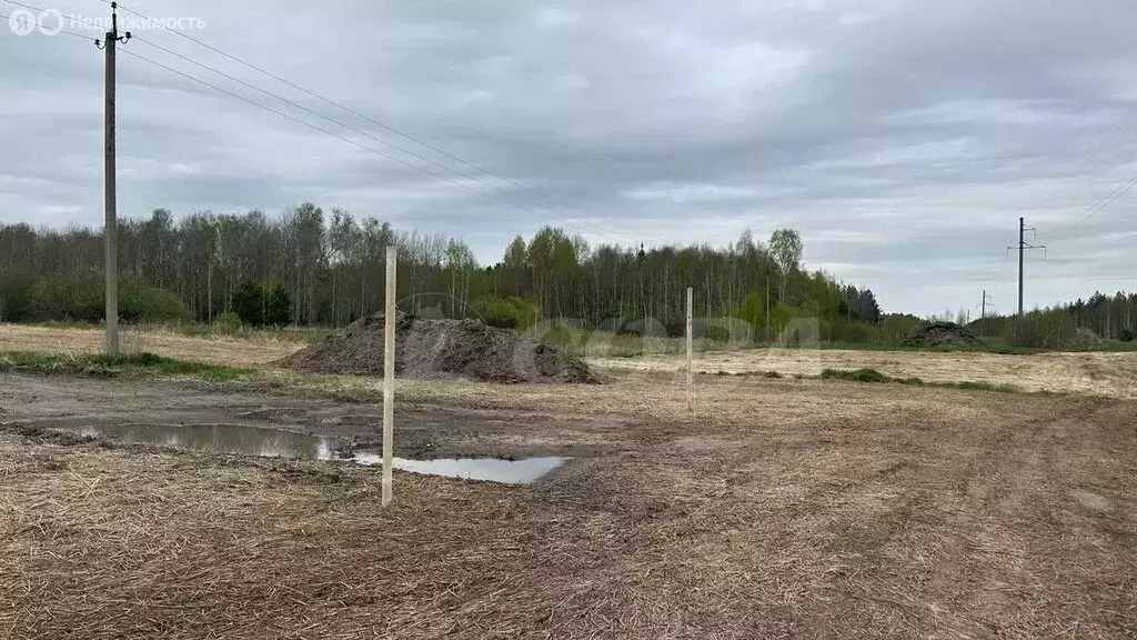 Участок в Свердловская область, Тугулымский муниципальный округ, ... - Фото 0
