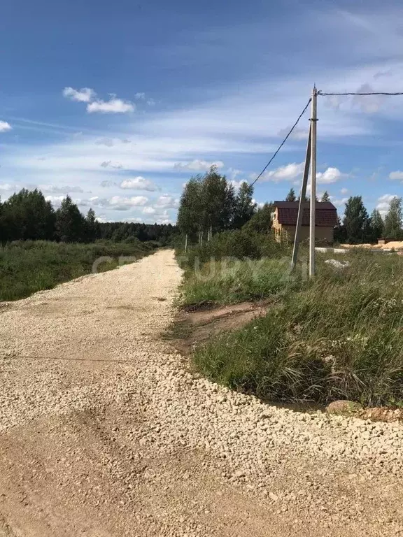 Участок в Ленинградская область, Гатчинский район, Рождественское ... - Фото 1