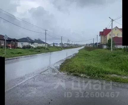 Участок в Новосибирская область, Новосибирский район, Станционный ... - Фото 0