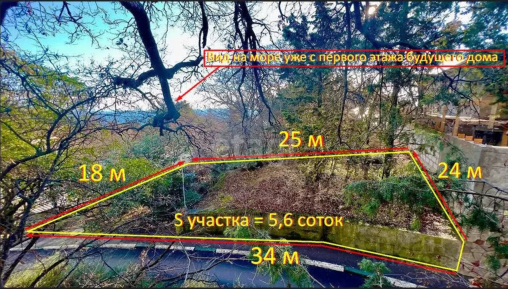 Участок в Крым, Ялта городской округ, пос. Даниловка ул. Лесная (5.6 ... - Фото 0