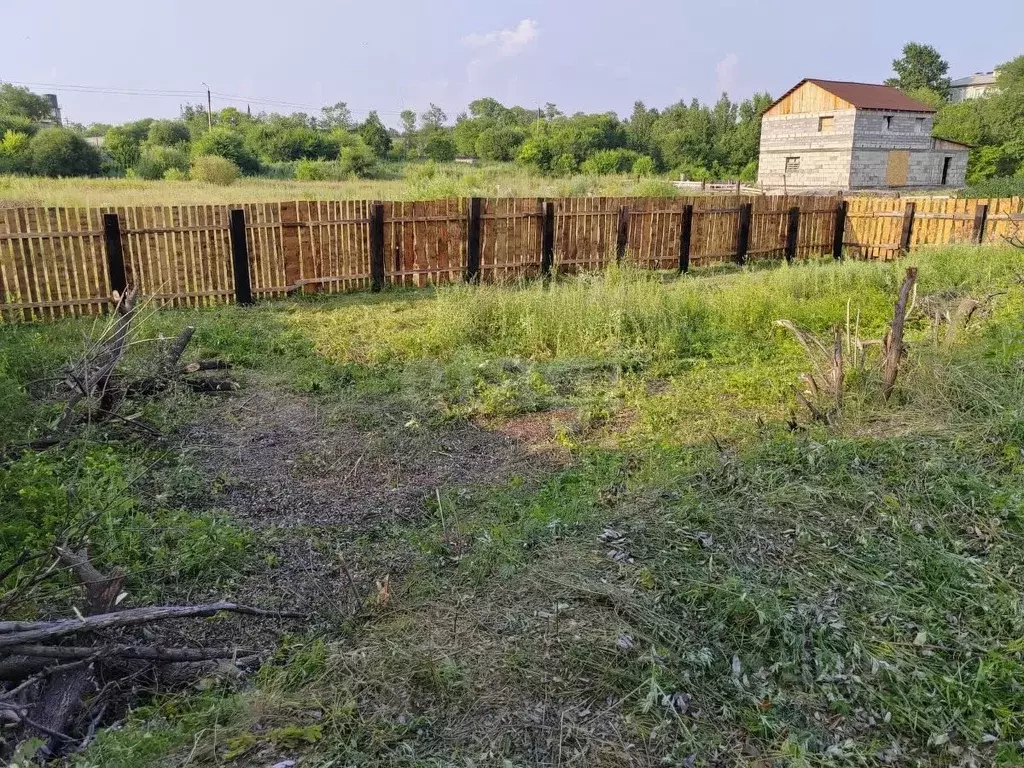 Участок в Амурская область, Белогорск ш. Никольское (10.0 сот.) - Фото 0