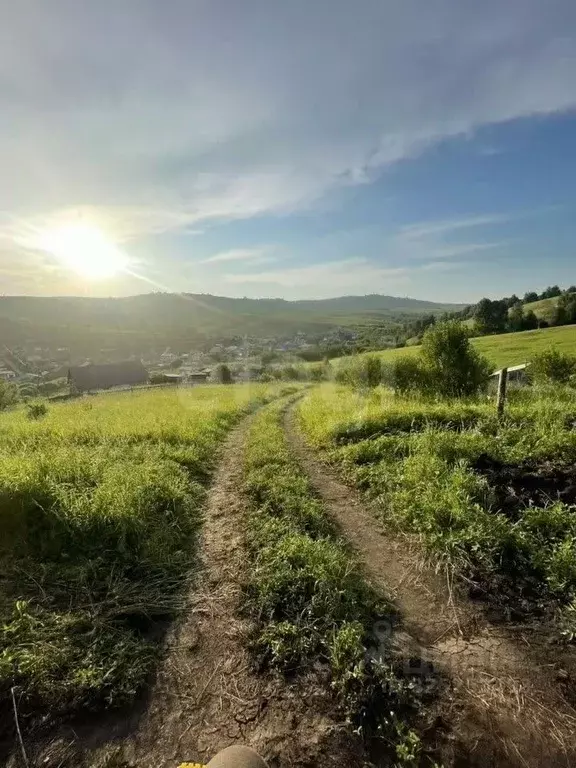 Участок в Алтай, Майминский район, пос. Алферово ул. И.А. Шаркова, 61 ... - Фото 1