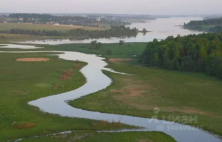 Участок в Владимирская область, Кольчугинский район, Ильинское ... - Фото 0