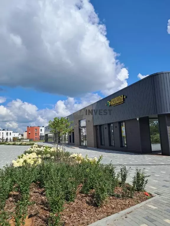 Торговая площадь в Челябинская область, Сосновский муниципальный ... - Фото 1